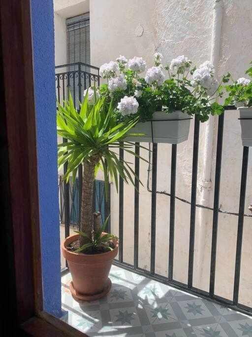 Casa Ziba Casco Antiguo Wifiaa Lägenhet Peñíscola Exteriör bild